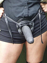 picture from straponjane.com
