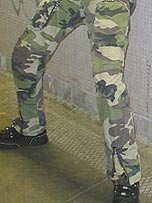 picture from straponjane.com